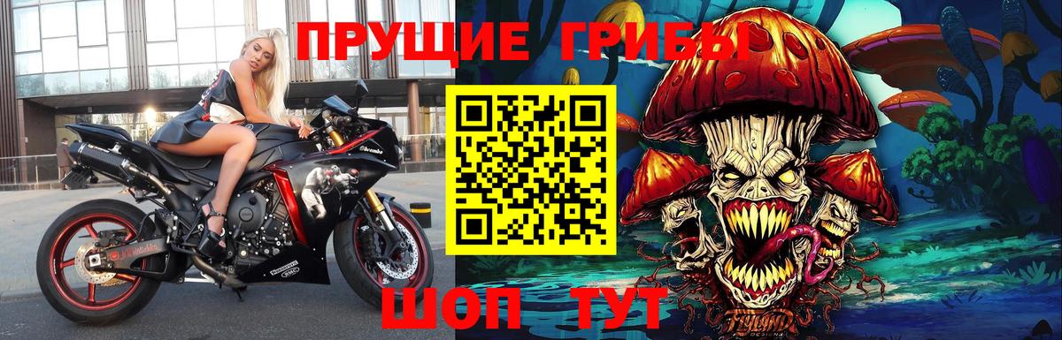 Псилоцибиновые грибы прущие грибы  Псилоцибиновые грибы Psilocybe  Вход с VPN  Вольск 