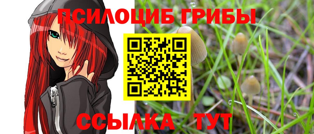 Галлюциногенные грибы Psilocybine cubensis Вольск